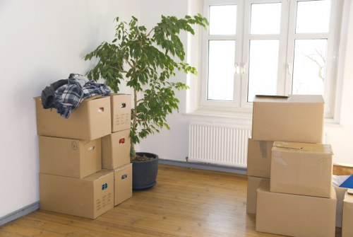 Professional van moving service focused on care and efficiency