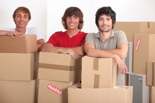 Movers handling a residential relocation with care in Elmpark