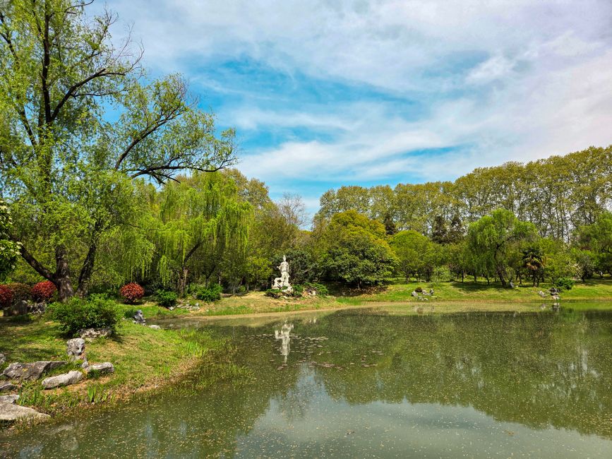 A scenic view of a peaceful park featuring a calm pond reflecting the surrounding greenery, including various trees such as willows and deciduous species with fresh green leaves. On the left, a large weeping willow tree with drooping branches extends over the pond, while other trees with dense foliage create a lush backdrop. A white classical-style statue is positioned on a small hill across the pond, partially obscured by trees, and there are several rocks and flower bushes along the pond's edge. The scene is illuminated by soft, natural daylight with a partly cloudy sky overhead, suggesting a serene outdoor environment. This tranquil setting, with its natural elements and openness, could serve as a peaceful location for a home relocation or moving service consultation, as offered generically by Man with Van Elm Park, highlighting the importance of careful planning in furniture transport and packing during house removals.