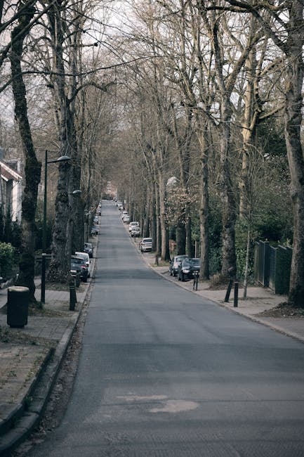 https://manwithvanelmpark.co.uk/blog/elm-park-avenue-removals-navigating-narrow-streets/