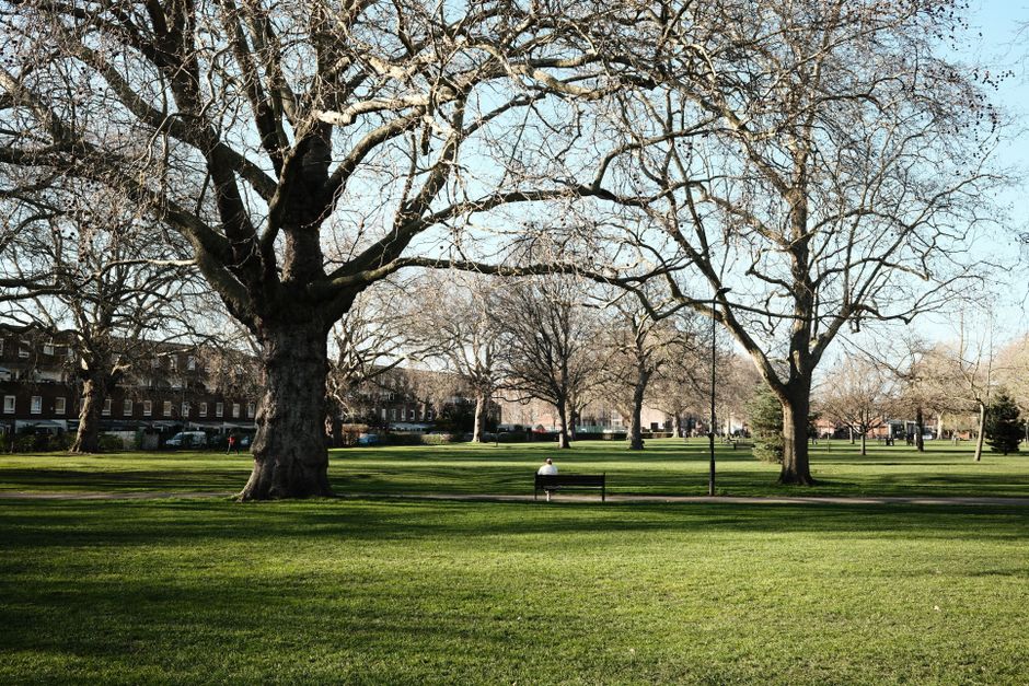 A large deciduous tree with vibrant orange and red autumn foliage, situated in a park with a paved pathway running through it. To the left of the tree, a person dressed in light-colored clothing is walking along the pathway, and a traditional black lamppost stands near the tree's base. In the background, modern office buildings with glass facades are visible, indicating an urban environment. The scene is illuminated by daylight, with shadows cast on the ground, and the overall setting suggests a peaceful outdoor space suitable for relaxing or casual walking during the autumn season. The image is captured with clear, natural lighting, highlighting the bright fall colors of the tree foliage, and includes elements such as the paved pathway, the person, the lamppost, and surrounding greenery, in alignment with the themes of home and property relocation services provided by Man with Van Elm Park.